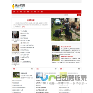 挥剑成河网